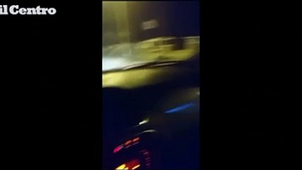 Casalbordino, cinghiale a passeggio sul lungomare