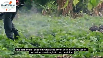 Copper Hydroxide Market