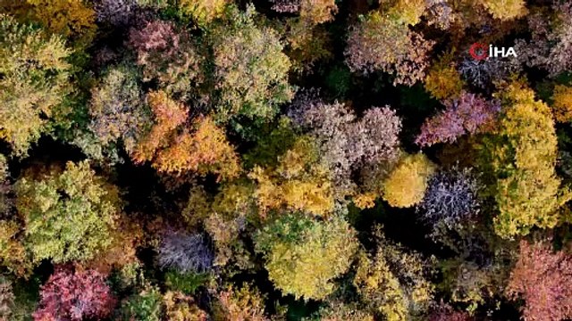 Samsun sonbaharda göz kamaştırıyor