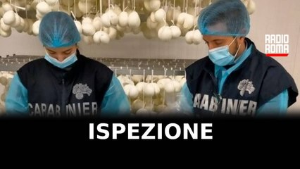 Ispezione dei NAS, chiusi due depositi