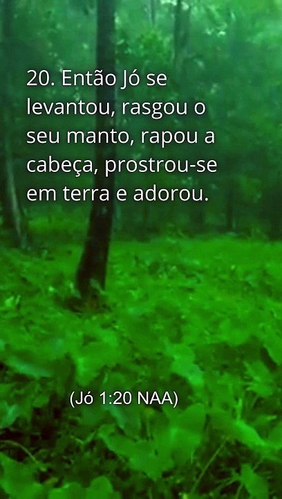 Jó 1:20-21