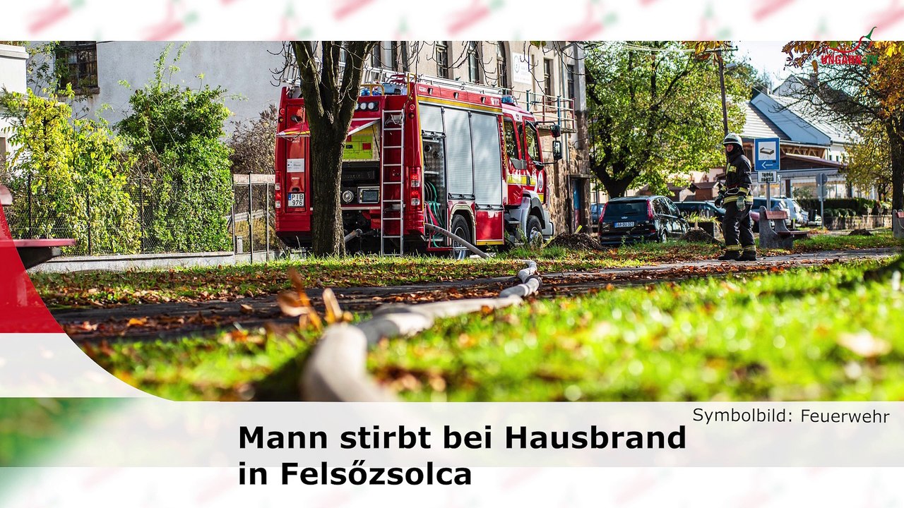 hallo ungarn- Kurznachrichten am 06.11.2024