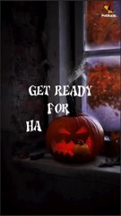 Halloween Pumpkin Dog Toys - Spooky Fun for Pets!