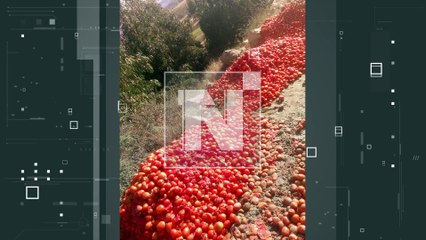 24 días de bloqueo, 12 puntos de intransitabilidad y el sector agropecuario en crisis