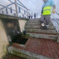 Un operario del servicio de limpieza de la playa de Las Canteras recoge un polluelo de pardela cenicienta. Se soltará cuando se recupere.