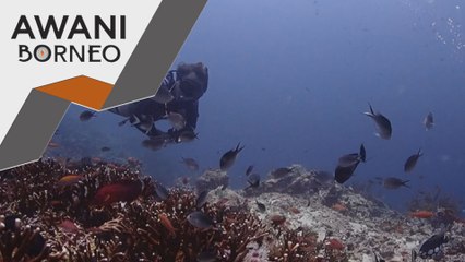 Taman Pulau Sipadan kutip hasil lebih RM16 juta