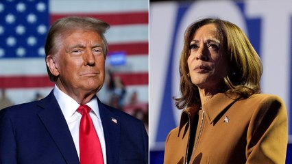 Ruta 5N | Pierde la fiscal Harris frente al delincuente Trump