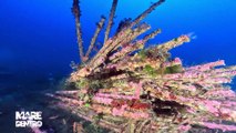 “Mare Dentro” nel porto di Messina per il piroscafo Patria e il rimorchiatore dragamine Rd55