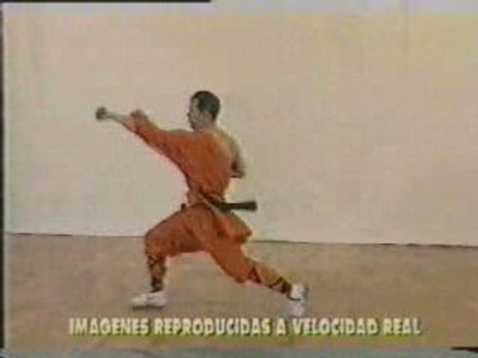 Shaolin mini tao de l'explosivité