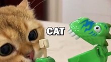 CAT TRICKED BY TOY! #animalstories #pets #cuteanimals #funny #animals #cat #funnyanimals