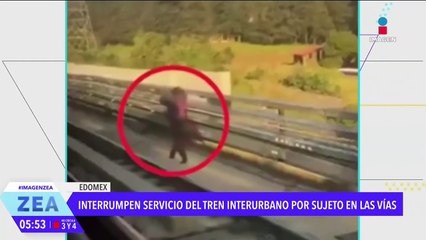 Interrumpen el servicio del Tren Interurbano por un hombre en las vías