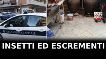 Insetti ed escrementi di topi, chiuso ristorante
