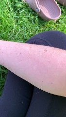 Rescued sheep is cuddling her favorite human!