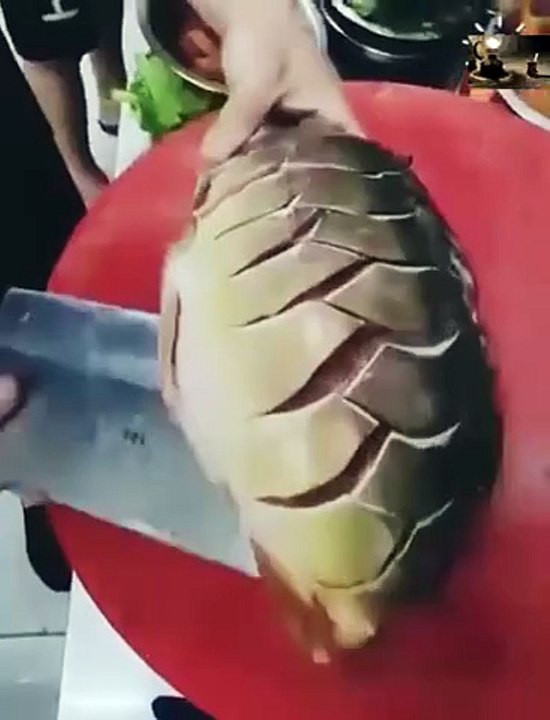 Fish Cutting Skills