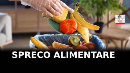 Chi troppo e chi niente, quanto cibo sprechiamo ogni giorno e perché?