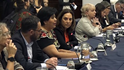 "Institucionalizan la violencia": Sarapura (UCR) apoyó el proyecto contra el acoso sexual de Periodistas Argentinas