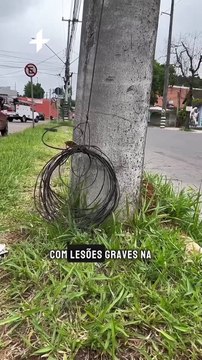 ABC nas ruas: Mutirão para reorganizar fios inservíveis ou caídos está na Rua Guia Lopes. Confira!