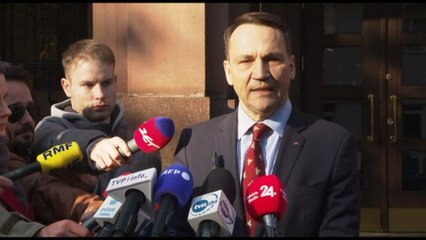 Usa 2024, Sikorski: Ue si assuma responsabilità sua sicurezza