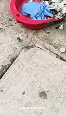 Messina, crack e cocaina dallo studente al professionista. La microspia "smantellata": "Dammi 15 euro per tirare"