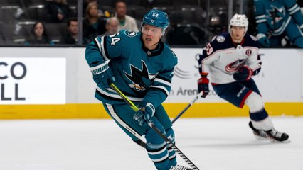 Best Hockey Game Seats: Behind the Net or Upper Deck?