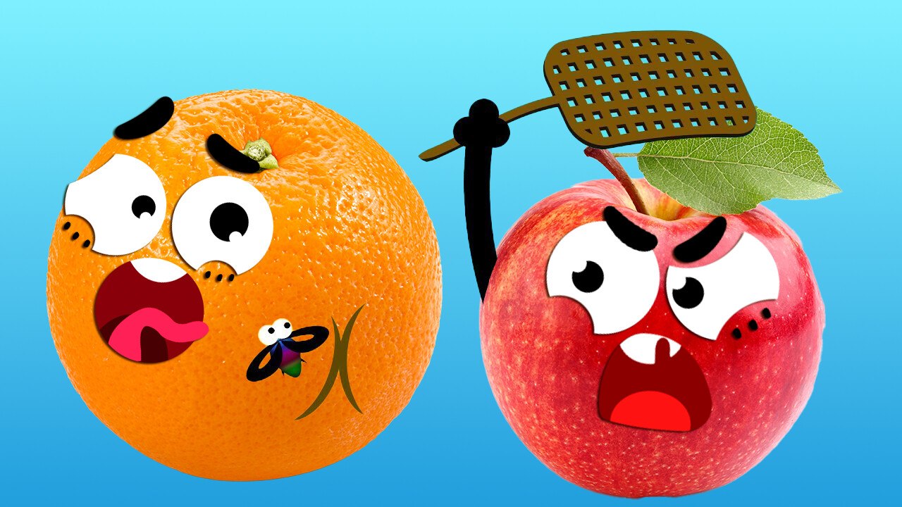 Doodles’ Funniest Embarrassing Moments Ever Caught!