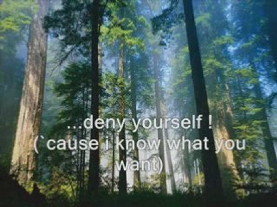 Delerium - Heaven`s Earth (lyrics)