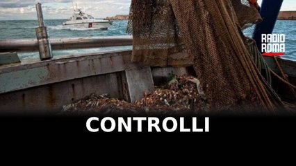 Sequestrate 3 tonnellate di pesce nel Lazio