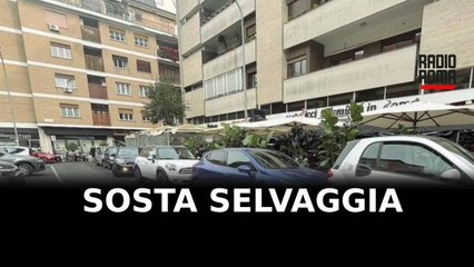 Sosta selvaggia, 200 vigili in campo