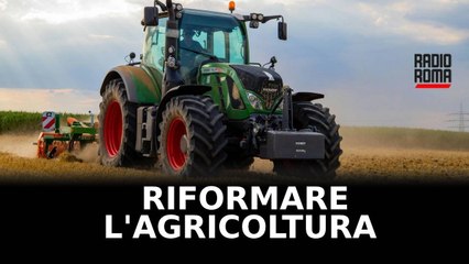 Non solo i trattori: ora tutta l’Europa vuole riformare l’agricoltura