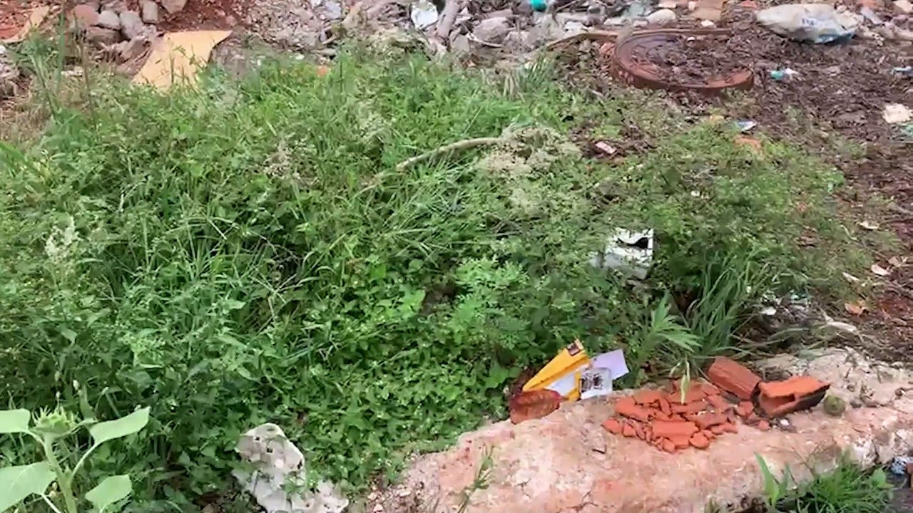 Terreno baldio com acúmulo de lixo e mato no Florais do Paraná gera preocupação entre moradores