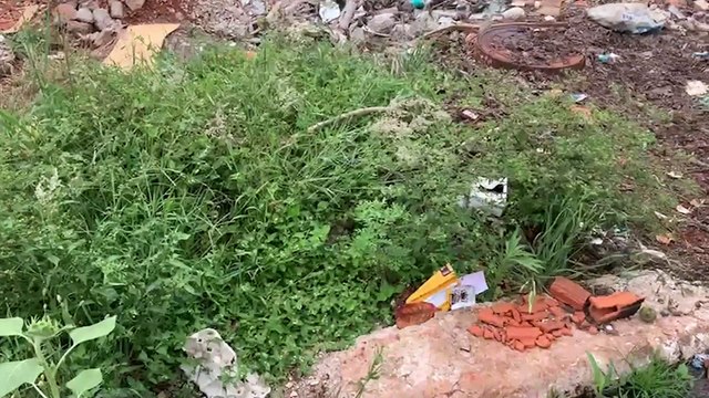 Terreno baldio com acúmulo de lixo e mato no Florais do Paraná gera preocupação entre moradores