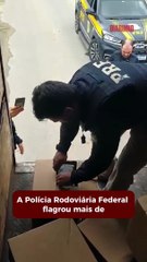 PRF apreende mais de uma tonelada de cocaína em Itajaí