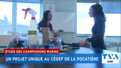 TVA Nouvelles CIMT 12h 6 novembre 2024