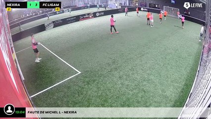 Faute de Michel L - Nexira