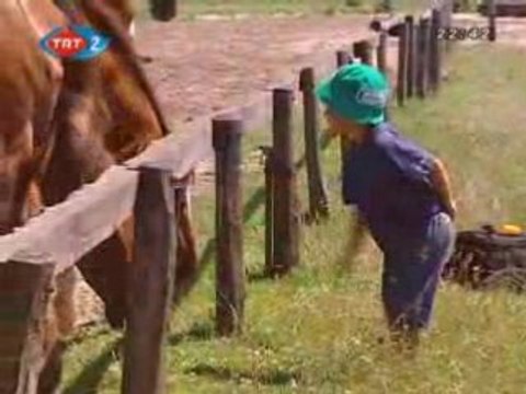 6 ~ Özü Türk . Hungarian . Macar . Magyar