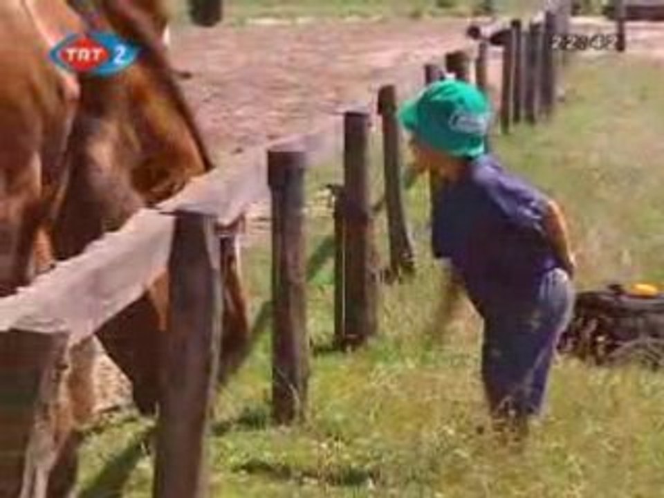 6 ~ Özü Türk . Hungarian . Macar . Magyar