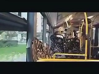 TCRM - Mercedes-Benz Citaro O530 G II Vol.5 0953