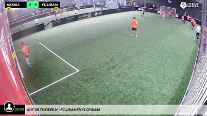 But de Theisse M - Fc Ligaments Croisés