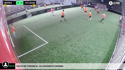 Faute de Theisse M - Fc Ligaments Croisés