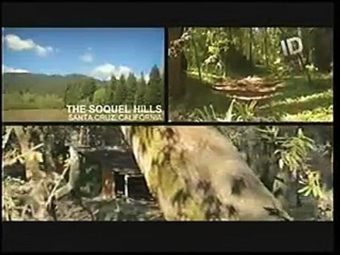 JOHN LINLEY FRAZIER - DEMENTES