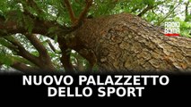 Nuovo Palazzetto dello Sport al posto dell'ecomostro