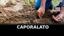 Il caporalato, il lavoro che uccide