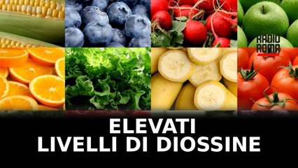 Rogo alla Magliana, allarme diossina
