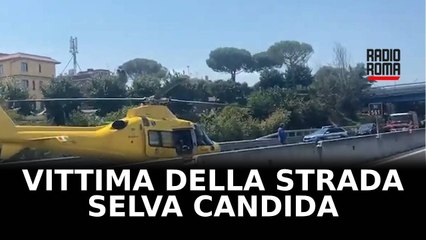 Altra vittima della strada, a Selva Candida