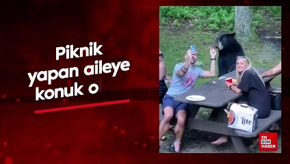 Piknik yapan aileye konuk olan ayı