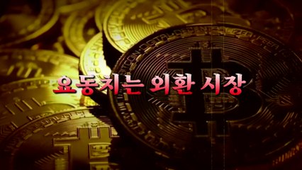 [영상] 4년 만에 백악관 재입성한 트럼프...불확실성 커진 한국 경제 / YTN