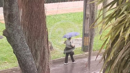 Fuertes lluvias en el sur ¿Llevó paraguas?