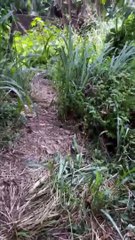 Familiares e amigos seguem à procura de funcionários de ferro-velho que desapareceram em Pirajá