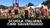 I cani bagnini della Sics anche nel Lazio