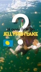 Jellyfish Lake - Palau 📍🇵🇼